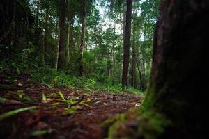 BIB: 
                            <button type="button" onclick="openModal(25008437)" class="btn btn-primary btn-sm float-right btn-popup" data-toggle="modal" data-target=".modal-high-quality">
                        <i class="fas fa-shopping-cart"></i> Add to Cart
                    </button>
                                            <button type="button" onclick="isThisMe(25008437, true)" class="btn btn-success btn-sm float-right btn-popup btn-isme hidden" data-toggle="tooltip" data-placement="bottom" title="นี่คือรูปของคุณใช่ไหม คลิกที่นี่เพื่อเอาเข้าอัลบั้ม">
                        <i class="fas fa-plus"></i> Add to album
                    </button>
                    <button type="button" onclick="isThisMe(25008437, false)" class="btn btn-warning btn-sm float-right btn-popup btn-isnotme hidden">
                        <i class="fas fa-ban"></i> Remove from album
                    </button>