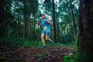 BIB: 
                            <button type="button" onclick="openModal(25010383)" class="btn btn-primary btn-sm float-right btn-popup" data-toggle="modal" data-target=".modal-high-quality">
                        <i class="fas fa-shopping-cart"></i> Add to Cart
                    </button>
                                            <button type="button" onclick="isThisMe(25010383, true)" class="btn btn-success btn-sm float-right btn-popup btn-isme hidden" data-toggle="tooltip" data-placement="bottom" title="นี่คือรูปของคุณใช่ไหม คลิกที่นี่เพื่อเอาเข้าอัลบั้ม">
                        <i class="fas fa-plus"></i> Add to album
                    </button>
                    <button type="button" onclick="isThisMe(25010383, false)" class="btn btn-warning btn-sm float-right btn-popup btn-isnotme hidden">
                        <i class="fas fa-ban"></i> Remove from album
                    </button>