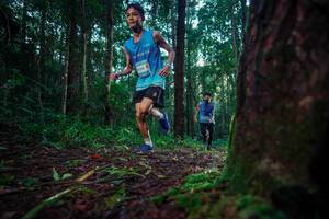 BIB: 306
                            <button type="button" onclick="openModal(25008836)" class="btn btn-primary btn-sm float-right btn-popup" data-toggle="modal" data-target=".modal-high-quality">
                        <i class="fas fa-shopping-cart"></i> Add to Cart
                    </button>
                                            <button type="button" onclick="isThisMe(25008836, true)" class="btn btn-success btn-sm float-right btn-popup btn-isme hidden" data-toggle="tooltip" data-placement="bottom" title="นี่คือรูปของคุณใช่ไหม คลิกที่นี่เพื่อเอาเข้าอัลบั้ม">
                        <i class="fas fa-plus"></i> Add to album
                    </button>
                    <button type="button" onclick="isThisMe(25008836, false)" class="btn btn-warning btn-sm float-right btn-popup btn-isnotme hidden">
                        <i class="fas fa-ban"></i> Remove from album
                    </button>