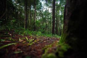 BIB: 
                            <button type="button" onclick="openModal(25008444)" class="btn btn-primary btn-sm float-right btn-popup" data-toggle="modal" data-target=".modal-high-quality">
                        <i class="fas fa-shopping-cart"></i> Add to Cart
                    </button>
                                            <button type="button" onclick="isThisMe(25008444, true)" class="btn btn-success btn-sm float-right btn-popup btn-isme hidden" data-toggle="tooltip" data-placement="bottom" title="นี่คือรูปของคุณใช่ไหม คลิกที่นี่เพื่อเอาเข้าอัลบั้ม">
                        <i class="fas fa-plus"></i> Add to album
                    </button>
                    <button type="button" onclick="isThisMe(25008444, false)" class="btn btn-warning btn-sm float-right btn-popup btn-isnotme hidden">
                        <i class="fas fa-ban"></i> Remove from album
                    </button>