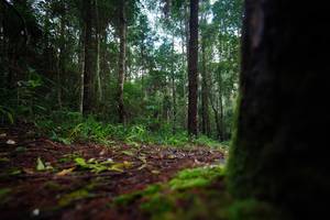 BIB: 
                            <button type="button" onclick="openModal(25008461)" class="btn btn-primary btn-sm float-right btn-popup" data-toggle="modal" data-target=".modal-high-quality">
                        <i class="fas fa-shopping-cart"></i> Add to Cart
                    </button>
                                            <button type="button" onclick="isThisMe(25008461, true)" class="btn btn-success btn-sm float-right btn-popup btn-isme hidden" data-toggle="tooltip" data-placement="bottom" title="นี่คือรูปของคุณใช่ไหม คลิกที่นี่เพื่อเอาเข้าอัลบั้ม">
                        <i class="fas fa-plus"></i> Add to album
                    </button>
                    <button type="button" onclick="isThisMe(25008461, false)" class="btn btn-warning btn-sm float-right btn-popup btn-isnotme hidden">
                        <i class="fas fa-ban"></i> Remove from album
                    </button>