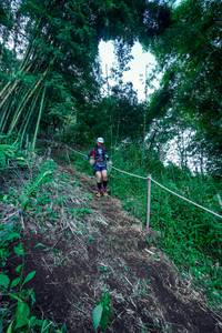 BIB: 
                            <button type="button" onclick="openModal(25031742)" class="btn btn-primary btn-sm float-right btn-popup" data-toggle="modal" data-target=".modal-high-quality">
                        <i class="fas fa-shopping-cart"></i> Add to Cart
                    </button>
                                            <button type="button" onclick="isThisMe(25031742, true)" class="btn btn-success btn-sm float-right btn-popup btn-isme hidden" data-toggle="tooltip" data-placement="bottom" title="นี่คือรูปของคุณใช่ไหม คลิกที่นี่เพื่อเอาเข้าอัลบั้ม">
                        <i class="fas fa-plus"></i> Add to album
                    </button>
                    <button type="button" onclick="isThisMe(25031742, false)" class="btn btn-warning btn-sm float-right btn-popup btn-isnotme hidden">
                        <i class="fas fa-ban"></i> Remove from album
                    </button>