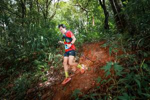 BIB: 
                            <button type="button" onclick="openModal(25021744)" class="btn btn-primary btn-sm float-right btn-popup" data-toggle="modal" data-target=".modal-high-quality">
                        <i class="fas fa-shopping-cart"></i> Add to Cart
                    </button>
                                            <button type="button" onclick="isThisMe(25021744, true)" class="btn btn-success btn-sm float-right btn-popup btn-isme hidden" data-toggle="tooltip" data-placement="bottom" title="นี่คือรูปของคุณใช่ไหม คลิกที่นี่เพื่อเอาเข้าอัลบั้ม">
                        <i class="fas fa-plus"></i> Add to album
                    </button>
                    <button type="button" onclick="isThisMe(25021744, false)" class="btn btn-warning btn-sm float-right btn-popup btn-isnotme hidden">
                        <i class="fas fa-ban"></i> Remove from album
                    </button>