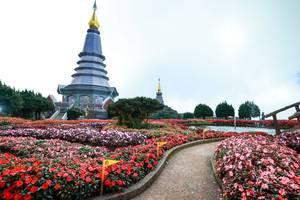 BIB: 
                            <button type="button" onclick="openModal(25014633)" class="btn btn-primary btn-sm float-right btn-popup" data-toggle="modal" data-target=".modal-high-quality">
                        <i class="fas fa-shopping-cart"></i> Add to Cart
                    </button>
                                            <button type="button" onclick="isThisMe(25014633, true)" class="btn btn-success btn-sm float-right btn-popup btn-isme hidden" data-toggle="tooltip" data-placement="bottom" title="นี่คือรูปของคุณใช่ไหม คลิกที่นี่เพื่อเอาเข้าอัลบั้ม">
                        <i class="fas fa-plus"></i> Add to album
                    </button>
                    <button type="button" onclick="isThisMe(25014633, false)" class="btn btn-warning btn-sm float-right btn-popup btn-isnotme hidden">
                        <i class="fas fa-ban"></i> Remove from album
                    </button>