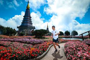 BIB: 
                            <button type="button" onclick="openModal(25015236)" class="btn btn-primary btn-sm float-right btn-popup" data-toggle="modal" data-target=".modal-high-quality">
                        <i class="fas fa-shopping-cart"></i> Add to Cart
                    </button>
                                            <button type="button" onclick="isThisMe(25015236, true)" class="btn btn-success btn-sm float-right btn-popup btn-isme hidden" data-toggle="tooltip" data-placement="bottom" title="นี่คือรูปของคุณใช่ไหม คลิกที่นี่เพื่อเอาเข้าอัลบั้ม">
                        <i class="fas fa-plus"></i> Add to album
                    </button>
                    <button type="button" onclick="isThisMe(25015236, false)" class="btn btn-warning btn-sm float-right btn-popup btn-isnotme hidden">
                        <i class="fas fa-ban"></i> Remove from album
                    </button>