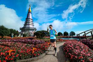 BIB: 
                            <button type="button" onclick="openModal(25016497)" class="btn btn-primary btn-sm float-right btn-popup" data-toggle="modal" data-target=".modal-high-quality">
                        <i class="fas fa-shopping-cart"></i> Add to Cart
                    </button>
                                            <button type="button" onclick="isThisMe(25016497, true)" class="btn btn-success btn-sm float-right btn-popup btn-isme hidden" data-toggle="tooltip" data-placement="bottom" title="นี่คือรูปของคุณใช่ไหม คลิกที่นี่เพื่อเอาเข้าอัลบั้ม">
                        <i class="fas fa-plus"></i> Add to album
                    </button>
                    <button type="button" onclick="isThisMe(25016497, false)" class="btn btn-warning btn-sm float-right btn-popup btn-isnotme hidden">
                        <i class="fas fa-ban"></i> Remove from album
                    </button>