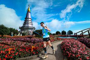 BIB: 
                            <button type="button" onclick="openModal(25016495)" class="btn btn-primary btn-sm float-right btn-popup" data-toggle="modal" data-target=".modal-high-quality">
                        <i class="fas fa-shopping-cart"></i> Add to Cart
                    </button>
                                            <button type="button" onclick="isThisMe(25016495, true)" class="btn btn-success btn-sm float-right btn-popup btn-isme hidden" data-toggle="tooltip" data-placement="bottom" title="นี่คือรูปของคุณใช่ไหม คลิกที่นี่เพื่อเอาเข้าอัลบั้ม">
                        <i class="fas fa-plus"></i> Add to album
                    </button>
                    <button type="button" onclick="isThisMe(25016495, false)" class="btn btn-warning btn-sm float-right btn-popup btn-isnotme hidden">
                        <i class="fas fa-ban"></i> Remove from album
                    </button>