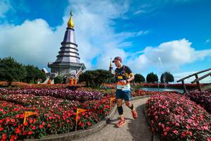 BIB: 
                            <button type="button" onclick="openModal(25016506)" class="btn btn-primary btn-sm float-right btn-popup" data-toggle="modal" data-target=".modal-high-quality">
                        <i class="fas fa-shopping-cart"></i> Add to Cart
                    </button>
                                            <button type="button" onclick="isThisMe(25016506, true)" class="btn btn-success btn-sm float-right btn-popup btn-isme hidden" data-toggle="tooltip" data-placement="bottom" title="นี่คือรูปของคุณใช่ไหม คลิกที่นี่เพื่อเอาเข้าอัลบั้ม">
                        <i class="fas fa-plus"></i> Add to album
                    </button>
                    <button type="button" onclick="isThisMe(25016506, false)" class="btn btn-warning btn-sm float-right btn-popup btn-isnotme hidden">
                        <i class="fas fa-ban"></i> Remove from album
                    </button>