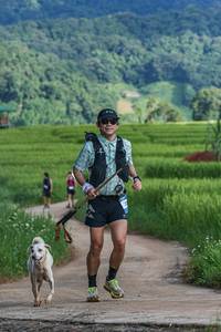 BIB: 
                            <button type="button" onclick="openModal(25003509)" class="btn btn-primary btn-sm float-right btn-popup" data-toggle="modal" data-target=".modal-high-quality">
                        <i class="fas fa-shopping-cart"></i> Add to Cart
                    </button>
                                            <button type="button" onclick="isThisMe(25003509, true)" class="btn btn-success btn-sm float-right btn-popup btn-isme hidden" data-toggle="tooltip" data-placement="bottom" title="นี่คือรูปของคุณใช่ไหม คลิกที่นี่เพื่อเอาเข้าอัลบั้ม">
                        <i class="fas fa-plus"></i> Add to album
                    </button>
                    <button type="button" onclick="isThisMe(25003509, false)" class="btn btn-warning btn-sm float-right btn-popup btn-isnotme hidden">
                        <i class="fas fa-ban"></i> Remove from album
                    </button>