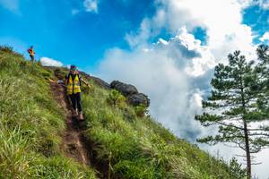 BIB: 
                            <button type="button" onclick="openModal(25002441)" class="btn btn-primary btn-sm float-right btn-popup" data-toggle="modal" data-target=".modal-high-quality">
                        <i class="fas fa-shopping-cart"></i> Add to Cart
                    </button>
                                            <button type="button" onclick="isThisMe(25002441, true)" class="btn btn-success btn-sm float-right btn-popup btn-isme hidden" data-toggle="tooltip" data-placement="bottom" title="นี่คือรูปของคุณใช่ไหม คลิกที่นี่เพื่อเอาเข้าอัลบั้ม">
                        <i class="fas fa-plus"></i> Add to album
                    </button>
                    <button type="button" onclick="isThisMe(25002441, false)" class="btn btn-warning btn-sm float-right btn-popup btn-isnotme hidden">
                        <i class="fas fa-ban"></i> Remove from album
                    </button>