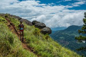 BIB: 
                            <button type="button" onclick="openModal(25001088)" class="btn btn-primary btn-sm float-right btn-popup" data-toggle="modal" data-target=".modal-high-quality">
                        <i class="fas fa-shopping-cart"></i> Add to Cart
                    </button>
                                            <button type="button" onclick="isThisMe(25001088, true)" class="btn btn-success btn-sm float-right btn-popup btn-isme hidden" data-toggle="tooltip" data-placement="bottom" title="นี่คือรูปของคุณใช่ไหม คลิกที่นี่เพื่อเอาเข้าอัลบั้ม">
                        <i class="fas fa-plus"></i> Add to album
                    </button>
                    <button type="button" onclick="isThisMe(25001088, false)" class="btn btn-warning btn-sm float-right btn-popup btn-isnotme hidden">
                        <i class="fas fa-ban"></i> Remove from album
                    </button>