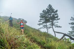 BIB: 
                            <button type="button" onclick="openModal(25000769)" class="btn btn-primary btn-sm float-right btn-popup" data-toggle="modal" data-target=".modal-high-quality">
                        <i class="fas fa-shopping-cart"></i> Add to Cart
                    </button>
                                            <button type="button" onclick="isThisMe(25000769, true)" class="btn btn-success btn-sm float-right btn-popup btn-isme hidden" data-toggle="tooltip" data-placement="bottom" title="นี่คือรูปของคุณใช่ไหม คลิกที่นี่เพื่อเอาเข้าอัลบั้ม">
                        <i class="fas fa-plus"></i> Add to album
                    </button>
                    <button type="button" onclick="isThisMe(25000769, false)" class="btn btn-warning btn-sm float-right btn-popup btn-isnotme hidden">
                        <i class="fas fa-ban"></i> Remove from album
                    </button>