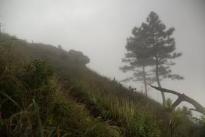 BIB: 
                            <button type="button" onclick="openModal(25000743)" class="btn btn-primary btn-sm float-right btn-popup" data-toggle="modal" data-target=".modal-high-quality">
                        <i class="fas fa-shopping-cart"></i> Add to Cart
                    </button>
                                            <button type="button" onclick="isThisMe(25000743, true)" class="btn btn-success btn-sm float-right btn-popup btn-isme hidden" data-toggle="tooltip" data-placement="bottom" title="นี่คือรูปของคุณใช่ไหม คลิกที่นี่เพื่อเอาเข้าอัลบั้ม">
                        <i class="fas fa-plus"></i> Add to album
                    </button>
                    <button type="button" onclick="isThisMe(25000743, false)" class="btn btn-warning btn-sm float-right btn-popup btn-isnotme hidden">
                        <i class="fas fa-ban"></i> Remove from album
                    </button>