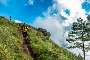 BIB: 
                            <button type="button" onclick="openModal(25002438)" class="btn btn-primary btn-sm float-right btn-popup" data-toggle="modal" data-target=".modal-high-quality">
                        <i class="fas fa-shopping-cart"></i> Add to Cart
                    </button>
                                            <button type="button" onclick="isThisMe(25002438, true)" class="btn btn-success btn-sm float-right btn-popup btn-isme hidden" data-toggle="tooltip" data-placement="bottom" title="นี่คือรูปของคุณใช่ไหม คลิกที่นี่เพื่อเอาเข้าอัลบั้ม">
                        <i class="fas fa-plus"></i> Add to album
                    </button>
                    <button type="button" onclick="isThisMe(25002438, false)" class="btn btn-warning btn-sm float-right btn-popup btn-isnotme hidden">
                        <i class="fas fa-ban"></i> Remove from album
                    </button>