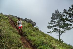 BIB: 
                            <button type="button" onclick="openModal(25001476)" class="btn btn-primary btn-sm float-right btn-popup" data-toggle="modal" data-target=".modal-high-quality">
                        <i class="fas fa-shopping-cart"></i> Add to Cart
                    </button>
                                            <button type="button" onclick="isThisMe(25001476, true)" class="btn btn-success btn-sm float-right btn-popup btn-isme hidden" data-toggle="tooltip" data-placement="bottom" title="นี่คือรูปของคุณใช่ไหม คลิกที่นี่เพื่อเอาเข้าอัลบั้ม">
                        <i class="fas fa-plus"></i> Add to album
                    </button>
                    <button type="button" onclick="isThisMe(25001476, false)" class="btn btn-warning btn-sm float-right btn-popup btn-isnotme hidden">
                        <i class="fas fa-ban"></i> Remove from album
                    </button>