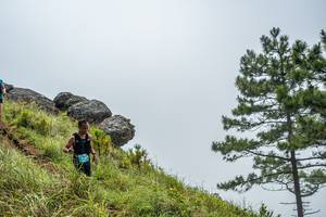 BIB: 
                            <button type="button" onclick="openModal(25001117)" class="btn btn-primary btn-sm float-right btn-popup" data-toggle="modal" data-target=".modal-high-quality">
                        <i class="fas fa-shopping-cart"></i> Add to Cart
                    </button>
                                            <button type="button" onclick="isThisMe(25001117, true)" class="btn btn-success btn-sm float-right btn-popup btn-isme hidden" data-toggle="tooltip" data-placement="bottom" title="นี่คือรูปของคุณใช่ไหม คลิกที่นี่เพื่อเอาเข้าอัลบั้ม">
                        <i class="fas fa-plus"></i> Add to album
                    </button>
                    <button type="button" onclick="isThisMe(25001117, false)" class="btn btn-warning btn-sm float-right btn-popup btn-isnotme hidden">
                        <i class="fas fa-ban"></i> Remove from album
                    </button>