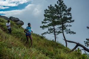 BIB: 
                            <button type="button" onclick="openModal(25000900)" class="btn btn-primary btn-sm float-right btn-popup" data-toggle="modal" data-target=".modal-high-quality">
                        <i class="fas fa-shopping-cart"></i> Add to Cart
                    </button>
                                            <button type="button" onclick="isThisMe(25000900, true)" class="btn btn-success btn-sm float-right btn-popup btn-isme hidden" data-toggle="tooltip" data-placement="bottom" title="นี่คือรูปของคุณใช่ไหม คลิกที่นี่เพื่อเอาเข้าอัลบั้ม">
                        <i class="fas fa-plus"></i> Add to album
                    </button>
                    <button type="button" onclick="isThisMe(25000900, false)" class="btn btn-warning btn-sm float-right btn-popup btn-isnotme hidden">
                        <i class="fas fa-ban"></i> Remove from album
                    </button>