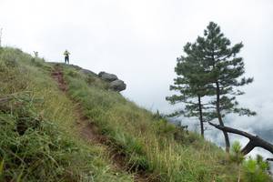 BIB: 
                            <button type="button" onclick="openModal(25000742)" class="btn btn-primary btn-sm float-right btn-popup" data-toggle="modal" data-target=".modal-high-quality">
                        <i class="fas fa-shopping-cart"></i> Add to Cart
                    </button>
                                            <button type="button" onclick="isThisMe(25000742, true)" class="btn btn-success btn-sm float-right btn-popup btn-isme hidden" data-toggle="tooltip" data-placement="bottom" title="นี่คือรูปของคุณใช่ไหม คลิกที่นี่เพื่อเอาเข้าอัลบั้ม">
                        <i class="fas fa-plus"></i> Add to album
                    </button>
                    <button type="button" onclick="isThisMe(25000742, false)" class="btn btn-warning btn-sm float-right btn-popup btn-isnotme hidden">
                        <i class="fas fa-ban"></i> Remove from album
                    </button>