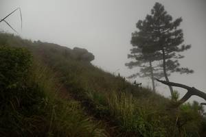 BIB: 
                            <button type="button" onclick="openModal(25000720)" class="btn btn-primary btn-sm float-right btn-popup" data-toggle="modal" data-target=".modal-high-quality">
                        <i class="fas fa-shopping-cart"></i> Add to Cart
                    </button>
                                            <button type="button" onclick="isThisMe(25000720, true)" class="btn btn-success btn-sm float-right btn-popup btn-isme hidden" data-toggle="tooltip" data-placement="bottom" title="นี่คือรูปของคุณใช่ไหม คลิกที่นี่เพื่อเอาเข้าอัลบั้ม">
                        <i class="fas fa-plus"></i> Add to album
                    </button>
                    <button type="button" onclick="isThisMe(25000720, false)" class="btn btn-warning btn-sm float-right btn-popup btn-isnotme hidden">
                        <i class="fas fa-ban"></i> Remove from album
                    </button>