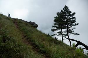 BIB: 
                            <button type="button" onclick="openModal(25000751)" class="btn btn-primary btn-sm float-right btn-popup" data-toggle="modal" data-target=".modal-high-quality">
                        <i class="fas fa-shopping-cart"></i> Add to Cart
                    </button>
                                            <button type="button" onclick="isThisMe(25000751, true)" class="btn btn-success btn-sm float-right btn-popup btn-isme hidden" data-toggle="tooltip" data-placement="bottom" title="นี่คือรูปของคุณใช่ไหม คลิกที่นี่เพื่อเอาเข้าอัลบั้ม">
                        <i class="fas fa-plus"></i> Add to album
                    </button>
                    <button type="button" onclick="isThisMe(25000751, false)" class="btn btn-warning btn-sm float-right btn-popup btn-isnotme hidden">
                        <i class="fas fa-ban"></i> Remove from album
                    </button>