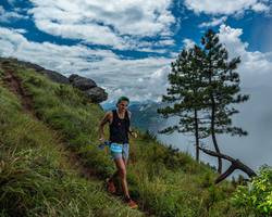 BIB: 
                            <button type="button" onclick="openModal(25000952)" class="btn btn-primary btn-sm float-right btn-popup" data-toggle="modal" data-target=".modal-high-quality">
                        <i class="fas fa-shopping-cart"></i> Add to Cart
                    </button>
                                            <button type="button" onclick="isThisMe(25000952, true)" class="btn btn-success btn-sm float-right btn-popup btn-isme hidden" data-toggle="tooltip" data-placement="bottom" title="นี่คือรูปของคุณใช่ไหม คลิกที่นี่เพื่อเอาเข้าอัลบั้ม">
                        <i class="fas fa-plus"></i> Add to album
                    </button>
                    <button type="button" onclick="isThisMe(25000952, false)" class="btn btn-warning btn-sm float-right btn-popup btn-isnotme hidden">
                        <i class="fas fa-ban"></i> Remove from album
                    </button>