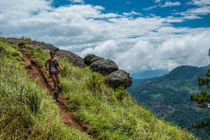 BIB: 
                            <button type="button" onclick="openModal(25001065)" class="btn btn-primary btn-sm float-right btn-popup" data-toggle="modal" data-target=".modal-high-quality">
                        <i class="fas fa-shopping-cart"></i> Add to Cart
                    </button>
                                            <button type="button" onclick="isThisMe(25001065, true)" class="btn btn-success btn-sm float-right btn-popup btn-isme hidden" data-toggle="tooltip" data-placement="bottom" title="นี่คือรูปของคุณใช่ไหม คลิกที่นี่เพื่อเอาเข้าอัลบั้ม">
                        <i class="fas fa-plus"></i> Add to album
                    </button>
                    <button type="button" onclick="isThisMe(25001065, false)" class="btn btn-warning btn-sm float-right btn-popup btn-isnotme hidden">
                        <i class="fas fa-ban"></i> Remove from album
                    </button>