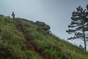 BIB: 
                            <button type="button" onclick="openModal(25001552)" class="btn btn-primary btn-sm float-right btn-popup" data-toggle="modal" data-target=".modal-high-quality">
                        <i class="fas fa-shopping-cart"></i> Add to Cart
                    </button>
                                            <button type="button" onclick="isThisMe(25001552, true)" class="btn btn-success btn-sm float-right btn-popup btn-isme hidden" data-toggle="tooltip" data-placement="bottom" title="นี่คือรูปของคุณใช่ไหม คลิกที่นี่เพื่อเอาเข้าอัลบั้ม">
                        <i class="fas fa-plus"></i> Add to album
                    </button>
                    <button type="button" onclick="isThisMe(25001552, false)" class="btn btn-warning btn-sm float-right btn-popup btn-isnotme hidden">
                        <i class="fas fa-ban"></i> Remove from album
                    </button>