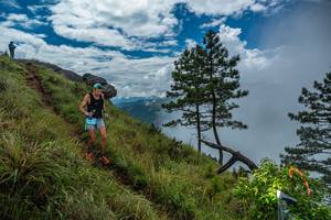 BIB: 
                            <button type="button" onclick="openModal(25000937)" class="btn btn-primary btn-sm float-right btn-popup" data-toggle="modal" data-target=".modal-high-quality">
                        <i class="fas fa-shopping-cart"></i> Add to Cart
                    </button>
                                            <button type="button" onclick="isThisMe(25000937, true)" class="btn btn-success btn-sm float-right btn-popup btn-isme hidden" data-toggle="tooltip" data-placement="bottom" title="นี่คือรูปของคุณใช่ไหม คลิกที่นี่เพื่อเอาเข้าอัลบั้ม">
                        <i class="fas fa-plus"></i> Add to album
                    </button>
                    <button type="button" onclick="isThisMe(25000937, false)" class="btn btn-warning btn-sm float-right btn-popup btn-isnotme hidden">
                        <i class="fas fa-ban"></i> Remove from album
                    </button>