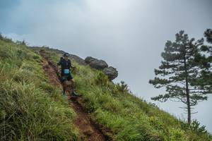 BIB: 
                            <button type="button" onclick="openModal(25001433)" class="btn btn-primary btn-sm float-right btn-popup" data-toggle="modal" data-target=".modal-high-quality">
                        <i class="fas fa-shopping-cart"></i> Add to Cart
                    </button>
                                            <button type="button" onclick="isThisMe(25001433, true)" class="btn btn-success btn-sm float-right btn-popup btn-isme hidden" data-toggle="tooltip" data-placement="bottom" title="นี่คือรูปของคุณใช่ไหม คลิกที่นี่เพื่อเอาเข้าอัลบั้ม">
                        <i class="fas fa-plus"></i> Add to album
                    </button>
                    <button type="button" onclick="isThisMe(25001433, false)" class="btn btn-warning btn-sm float-right btn-popup btn-isnotme hidden">
                        <i class="fas fa-ban"></i> Remove from album
                    </button>