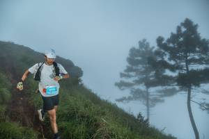 BIB: 3070
                            <button type="button" onclick="openModal(25002263)" class="btn btn-primary btn-sm float-right btn-popup" data-toggle="modal" data-target=".modal-high-quality">
                        <i class="fas fa-shopping-cart"></i> Add to Cart
                    </button>
                                            <button type="button" onclick="isThisMe(25002263, true)" class="btn btn-success btn-sm float-right btn-popup btn-isme hidden" data-toggle="tooltip" data-placement="bottom" title="นี่คือรูปของคุณใช่ไหม คลิกที่นี่เพื่อเอาเข้าอัลบั้ม">
                        <i class="fas fa-plus"></i> Add to album
                    </button>
                    <button type="button" onclick="isThisMe(25002263, false)" class="btn btn-warning btn-sm float-right btn-popup btn-isnotme hidden">
                        <i class="fas fa-ban"></i> Remove from album
                    </button>