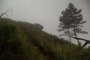 BIB: 
                            <button type="button" onclick="openModal(25000723)" class="btn btn-primary btn-sm float-right btn-popup" data-toggle="modal" data-target=".modal-high-quality">
                        <i class="fas fa-shopping-cart"></i> Add to Cart
                    </button>
                                            <button type="button" onclick="isThisMe(25000723, true)" class="btn btn-success btn-sm float-right btn-popup btn-isme hidden" data-toggle="tooltip" data-placement="bottom" title="นี่คือรูปของคุณใช่ไหม คลิกที่นี่เพื่อเอาเข้าอัลบั้ม">
                        <i class="fas fa-plus"></i> Add to album
                    </button>
                    <button type="button" onclick="isThisMe(25000723, false)" class="btn btn-warning btn-sm float-right btn-popup btn-isnotme hidden">
                        <i class="fas fa-ban"></i> Remove from album
                    </button>