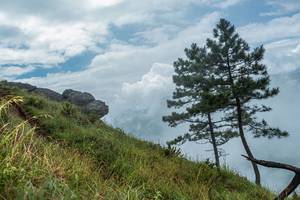 BIB: 
                            <button type="button" onclick="openModal(25000861)" class="btn btn-primary btn-sm float-right btn-popup" data-toggle="modal" data-target=".modal-high-quality">
                        <i class="fas fa-shopping-cart"></i> Add to Cart
                    </button>
                                            <button type="button" onclick="isThisMe(25000861, true)" class="btn btn-success btn-sm float-right btn-popup btn-isme hidden" data-toggle="tooltip" data-placement="bottom" title="นี่คือรูปของคุณใช่ไหม คลิกที่นี่เพื่อเอาเข้าอัลบั้ม">
                        <i class="fas fa-plus"></i> Add to album
                    </button>
                    <button type="button" onclick="isThisMe(25000861, false)" class="btn btn-warning btn-sm float-right btn-popup btn-isnotme hidden">
                        <i class="fas fa-ban"></i> Remove from album
                    </button>