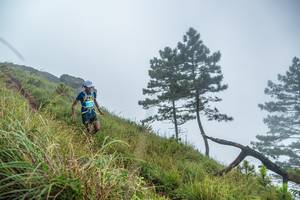 BIB: 
                            <button type="button" onclick="openModal(25000778)" class="btn btn-primary btn-sm float-right btn-popup" data-toggle="modal" data-target=".modal-high-quality">
                        <i class="fas fa-shopping-cart"></i> Add to Cart
                    </button>
                                            <button type="button" onclick="isThisMe(25000778, true)" class="btn btn-success btn-sm float-right btn-popup btn-isme hidden" data-toggle="tooltip" data-placement="bottom" title="นี่คือรูปของคุณใช่ไหม คลิกที่นี่เพื่อเอาเข้าอัลบั้ม">
                        <i class="fas fa-plus"></i> Add to album
                    </button>
                    <button type="button" onclick="isThisMe(25000778, false)" class="btn btn-warning btn-sm float-right btn-popup btn-isnotme hidden">
                        <i class="fas fa-ban"></i> Remove from album
                    </button>