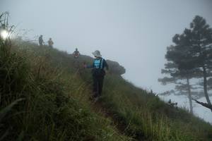 BIB: 
                            <button type="button" onclick="openModal(25000746)" class="btn btn-primary btn-sm float-right btn-popup" data-toggle="modal" data-target=".modal-high-quality">
                        <i class="fas fa-shopping-cart"></i> Add to Cart
                    </button>
                                            <button type="button" onclick="isThisMe(25000746, true)" class="btn btn-success btn-sm float-right btn-popup btn-isme hidden" data-toggle="tooltip" data-placement="bottom" title="นี่คือรูปของคุณใช่ไหม คลิกที่นี่เพื่อเอาเข้าอัลบั้ม">
                        <i class="fas fa-plus"></i> Add to album
                    </button>
                    <button type="button" onclick="isThisMe(25000746, false)" class="btn btn-warning btn-sm float-right btn-popup btn-isnotme hidden">
                        <i class="fas fa-ban"></i> Remove from album
                    </button>