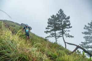 BIB: 
                            <button type="button" onclick="openModal(25000776)" class="btn btn-primary btn-sm float-right btn-popup" data-toggle="modal" data-target=".modal-high-quality">
                        <i class="fas fa-shopping-cart"></i> Add to Cart
                    </button>
                                            <button type="button" onclick="isThisMe(25000776, true)" class="btn btn-success btn-sm float-right btn-popup btn-isme hidden" data-toggle="tooltip" data-placement="bottom" title="นี่คือรูปของคุณใช่ไหม คลิกที่นี่เพื่อเอาเข้าอัลบั้ม">
                        <i class="fas fa-plus"></i> Add to album
                    </button>
                    <button type="button" onclick="isThisMe(25000776, false)" class="btn btn-warning btn-sm float-right btn-popup btn-isnotme hidden">
                        <i class="fas fa-ban"></i> Remove from album
                    </button>