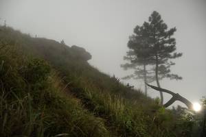 BIB: 
                            <button type="button" onclick="openModal(25000740)" class="btn btn-primary btn-sm float-right btn-popup" data-toggle="modal" data-target=".modal-high-quality">
                        <i class="fas fa-shopping-cart"></i> Add to Cart
                    </button>
                                            <button type="button" onclick="isThisMe(25000740, true)" class="btn btn-success btn-sm float-right btn-popup btn-isme hidden" data-toggle="tooltip" data-placement="bottom" title="นี่คือรูปของคุณใช่ไหม คลิกที่นี่เพื่อเอาเข้าอัลบั้ม">
                        <i class="fas fa-plus"></i> Add to album
                    </button>
                    <button type="button" onclick="isThisMe(25000740, false)" class="btn btn-warning btn-sm float-right btn-popup btn-isnotme hidden">
                        <i class="fas fa-ban"></i> Remove from album
                    </button>