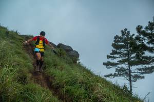 BIB: 
                            <button type="button" onclick="openModal(25002287)" class="btn btn-primary btn-sm float-right btn-popup" data-toggle="modal" data-target=".modal-high-quality">
                        <i class="fas fa-shopping-cart"></i> Add to Cart
                    </button>
                                            <button type="button" onclick="isThisMe(25002287, true)" class="btn btn-success btn-sm float-right btn-popup btn-isme hidden" data-toggle="tooltip" data-placement="bottom" title="นี่คือรูปของคุณใช่ไหม คลิกที่นี่เพื่อเอาเข้าอัลบั้ม">
                        <i class="fas fa-plus"></i> Add to album
                    </button>
                    <button type="button" onclick="isThisMe(25002287, false)" class="btn btn-warning btn-sm float-right btn-popup btn-isnotme hidden">
                        <i class="fas fa-ban"></i> Remove from album
                    </button>