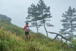 BIB: 
                            <button type="button" onclick="openModal(25000800)" class="btn btn-primary btn-sm float-right btn-popup" data-toggle="modal" data-target=".modal-high-quality">
                        <i class="fas fa-shopping-cart"></i> Add to Cart
                    </button>
                                            <button type="button" onclick="isThisMe(25000800, true)" class="btn btn-success btn-sm float-right btn-popup btn-isme hidden" data-toggle="tooltip" data-placement="bottom" title="นี่คือรูปของคุณใช่ไหม คลิกที่นี่เพื่อเอาเข้าอัลบั้ม">
                        <i class="fas fa-plus"></i> Add to album
                    </button>
                    <button type="button" onclick="isThisMe(25000800, false)" class="btn btn-warning btn-sm float-right btn-popup btn-isnotme hidden">
                        <i class="fas fa-ban"></i> Remove from album
                    </button>