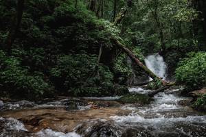 BIB: 
                            <button type="button" onclick="openModal(25004327)" class="btn btn-primary btn-sm float-right btn-popup" data-toggle="modal" data-target=".modal-high-quality">
                        <i class="fas fa-shopping-cart"></i> Add to Cart
                    </button>
                                            <button type="button" onclick="isThisMe(25004327, true)" class="btn btn-success btn-sm float-right btn-popup btn-isme hidden" data-toggle="tooltip" data-placement="bottom" title="นี่คือรูปของคุณใช่ไหม คลิกที่นี่เพื่อเอาเข้าอัลบั้ม">
                        <i class="fas fa-plus"></i> Add to album
                    </button>
                    <button type="button" onclick="isThisMe(25004327, false)" class="btn btn-warning btn-sm float-right btn-popup btn-isnotme hidden">
                        <i class="fas fa-ban"></i> Remove from album
                    </button>