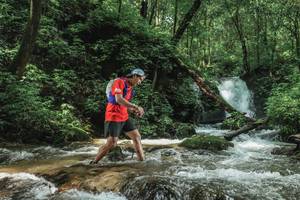 BIB: 
                            <button type="button" onclick="openModal(25005199)" class="btn btn-primary btn-sm float-right btn-popup" data-toggle="modal" data-target=".modal-high-quality">
                        <i class="fas fa-shopping-cart"></i> Add to Cart
                    </button>
                                            <button type="button" onclick="isThisMe(25005199, true)" class="btn btn-success btn-sm float-right btn-popup btn-isme hidden" data-toggle="tooltip" data-placement="bottom" title="นี่คือรูปของคุณใช่ไหม คลิกที่นี่เพื่อเอาเข้าอัลบั้ม">
                        <i class="fas fa-plus"></i> Add to album
                    </button>
                    <button type="button" onclick="isThisMe(25005199, false)" class="btn btn-warning btn-sm float-right btn-popup btn-isnotme hidden">
                        <i class="fas fa-ban"></i> Remove from album
                    </button>