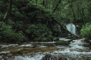 BIB: 
                            <button type="button" onclick="openModal(25005372)" class="btn btn-primary btn-sm float-right btn-popup" data-toggle="modal" data-target=".modal-high-quality">
                        <i class="fas fa-shopping-cart"></i> Add to Cart
                    </button>
                                            <button type="button" onclick="isThisMe(25005372, true)" class="btn btn-success btn-sm float-right btn-popup btn-isme hidden" data-toggle="tooltip" data-placement="bottom" title="นี่คือรูปของคุณใช่ไหม คลิกที่นี่เพื่อเอาเข้าอัลบั้ม">
                        <i class="fas fa-plus"></i> Add to album
                    </button>
                    <button type="button" onclick="isThisMe(25005372, false)" class="btn btn-warning btn-sm float-right btn-popup btn-isnotme hidden">
                        <i class="fas fa-ban"></i> Remove from album
                    </button>