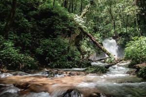 BIB: 
                            <button type="button" onclick="openModal(25004328)" class="btn btn-primary btn-sm float-right btn-popup" data-toggle="modal" data-target=".modal-high-quality">
                        <i class="fas fa-shopping-cart"></i> Add to Cart
                    </button>
                                            <button type="button" onclick="isThisMe(25004328, true)" class="btn btn-success btn-sm float-right btn-popup btn-isme hidden" data-toggle="tooltip" data-placement="bottom" title="นี่คือรูปของคุณใช่ไหม คลิกที่นี่เพื่อเอาเข้าอัลบั้ม">
                        <i class="fas fa-plus"></i> Add to album
                    </button>
                    <button type="button" onclick="isThisMe(25004328, false)" class="btn btn-warning btn-sm float-right btn-popup btn-isnotme hidden">
                        <i class="fas fa-ban"></i> Remove from album
                    </button>