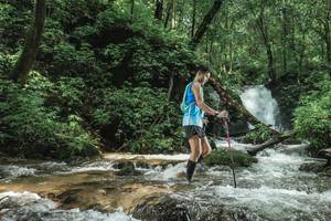 BIB: 
                            <button type="button" onclick="openModal(25005227)" class="btn btn-primary btn-sm float-right btn-popup" data-toggle="modal" data-target=".modal-high-quality">
                        <i class="fas fa-shopping-cart"></i> Add to Cart
                    </button>
                                            <button type="button" onclick="isThisMe(25005227, true)" class="btn btn-success btn-sm float-right btn-popup btn-isme hidden" data-toggle="tooltip" data-placement="bottom" title="นี่คือรูปของคุณใช่ไหม คลิกที่นี่เพื่อเอาเข้าอัลบั้ม">
                        <i class="fas fa-plus"></i> Add to album
                    </button>
                    <button type="button" onclick="isThisMe(25005227, false)" class="btn btn-warning btn-sm float-right btn-popup btn-isnotme hidden">
                        <i class="fas fa-ban"></i> Remove from album
                    </button>