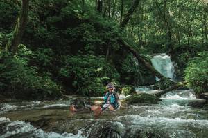 BIB: 
                            <button type="button" onclick="openModal(25004985)" class="btn btn-primary btn-sm float-right btn-popup" data-toggle="modal" data-target=".modal-high-quality">
                        <i class="fas fa-shopping-cart"></i> Add to Cart
                    </button>
                                            <button type="button" onclick="isThisMe(25004985, true)" class="btn btn-success btn-sm float-right btn-popup btn-isme hidden" data-toggle="tooltip" data-placement="bottom" title="นี่คือรูปของคุณใช่ไหม คลิกที่นี่เพื่อเอาเข้าอัลบั้ม">
                        <i class="fas fa-plus"></i> Add to album
                    </button>
                    <button type="button" onclick="isThisMe(25004985, false)" class="btn btn-warning btn-sm float-right btn-popup btn-isnotme hidden">
                        <i class="fas fa-ban"></i> Remove from album
                    </button>