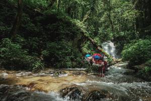 BIB: 
                            <button type="button" onclick="openModal(25004324)" class="btn btn-primary btn-sm float-right btn-popup" data-toggle="modal" data-target=".modal-high-quality">
                        <i class="fas fa-shopping-cart"></i> Add to Cart
                    </button>
                                            <button type="button" onclick="isThisMe(25004324, true)" class="btn btn-success btn-sm float-right btn-popup btn-isme hidden" data-toggle="tooltip" data-placement="bottom" title="นี่คือรูปของคุณใช่ไหม คลิกที่นี่เพื่อเอาเข้าอัลบั้ม">
                        <i class="fas fa-plus"></i> Add to album
                    </button>
                    <button type="button" onclick="isThisMe(25004324, false)" class="btn btn-warning btn-sm float-right btn-popup btn-isnotme hidden">
                        <i class="fas fa-ban"></i> Remove from album
                    </button>