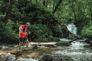 BIB: 
                            <button type="button" onclick="openModal(25005192)" class="btn btn-primary btn-sm float-right btn-popup" data-toggle="modal" data-target=".modal-high-quality">
                        <i class="fas fa-shopping-cart"></i> Add to Cart
                    </button>
                                            <button type="button" onclick="isThisMe(25005192, true)" class="btn btn-success btn-sm float-right btn-popup btn-isme hidden" data-toggle="tooltip" data-placement="bottom" title="นี่คือรูปของคุณใช่ไหม คลิกที่นี่เพื่อเอาเข้าอัลบั้ม">
                        <i class="fas fa-plus"></i> Add to album
                    </button>
                    <button type="button" onclick="isThisMe(25005192, false)" class="btn btn-warning btn-sm float-right btn-popup btn-isnotme hidden">
                        <i class="fas fa-ban"></i> Remove from album
                    </button>