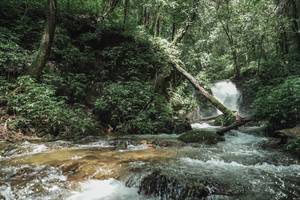 BIB: 
                            <button type="button" onclick="openModal(25004261)" class="btn btn-primary btn-sm float-right btn-popup" data-toggle="modal" data-target=".modal-high-quality">
                        <i class="fas fa-shopping-cart"></i> Add to Cart
                    </button>
                                            <button type="button" onclick="isThisMe(25004261, true)" class="btn btn-success btn-sm float-right btn-popup btn-isme hidden" data-toggle="tooltip" data-placement="bottom" title="นี่คือรูปของคุณใช่ไหม คลิกที่นี่เพื่อเอาเข้าอัลบั้ม">
                        <i class="fas fa-plus"></i> Add to album
                    </button>
                    <button type="button" onclick="isThisMe(25004261, false)" class="btn btn-warning btn-sm float-right btn-popup btn-isnotme hidden">
                        <i class="fas fa-ban"></i> Remove from album
                    </button>