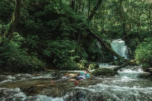 BIB: 
                            <button type="button" onclick="openModal(25004979)" class="btn btn-primary btn-sm float-right btn-popup" data-toggle="modal" data-target=".modal-high-quality">
                        <i class="fas fa-shopping-cart"></i> Add to Cart
                    </button>
                                            <button type="button" onclick="isThisMe(25004979, true)" class="btn btn-success btn-sm float-right btn-popup btn-isme hidden" data-toggle="tooltip" data-placement="bottom" title="นี่คือรูปของคุณใช่ไหม คลิกที่นี่เพื่อเอาเข้าอัลบั้ม">
                        <i class="fas fa-plus"></i> Add to album
                    </button>
                    <button type="button" onclick="isThisMe(25004979, false)" class="btn btn-warning btn-sm float-right btn-popup btn-isnotme hidden">
                        <i class="fas fa-ban"></i> Remove from album
                    </button>