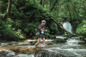 BIB: 
                            <button type="button" onclick="openModal(25005166)" class="btn btn-primary btn-sm float-right btn-popup" data-toggle="modal" data-target=".modal-high-quality">
                        <i class="fas fa-shopping-cart"></i> Add to Cart
                    </button>
                                            <button type="button" onclick="isThisMe(25005166, true)" class="btn btn-success btn-sm float-right btn-popup btn-isme hidden" data-toggle="tooltip" data-placement="bottom" title="นี่คือรูปของคุณใช่ไหม คลิกที่นี่เพื่อเอาเข้าอัลบั้ม">
                        <i class="fas fa-plus"></i> Add to album
                    </button>
                    <button type="button" onclick="isThisMe(25005166, false)" class="btn btn-warning btn-sm float-right btn-popup btn-isnotme hidden">
                        <i class="fas fa-ban"></i> Remove from album
                    </button>