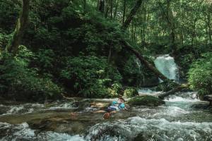 BIB: 
                            <button type="button" onclick="openModal(25004980)" class="btn btn-primary btn-sm float-right btn-popup" data-toggle="modal" data-target=".modal-high-quality">
                        <i class="fas fa-shopping-cart"></i> Add to Cart
                    </button>
                                            <button type="button" onclick="isThisMe(25004980, true)" class="btn btn-success btn-sm float-right btn-popup btn-isme hidden" data-toggle="tooltip" data-placement="bottom" title="นี่คือรูปของคุณใช่ไหม คลิกที่นี่เพื่อเอาเข้าอัลบั้ม">
                        <i class="fas fa-plus"></i> Add to album
                    </button>
                    <button type="button" onclick="isThisMe(25004980, false)" class="btn btn-warning btn-sm float-right btn-popup btn-isnotme hidden">
                        <i class="fas fa-ban"></i> Remove from album
                    </button>